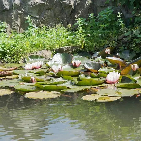 Feriegård Gospodarstwo Agroturystyczne Anton *