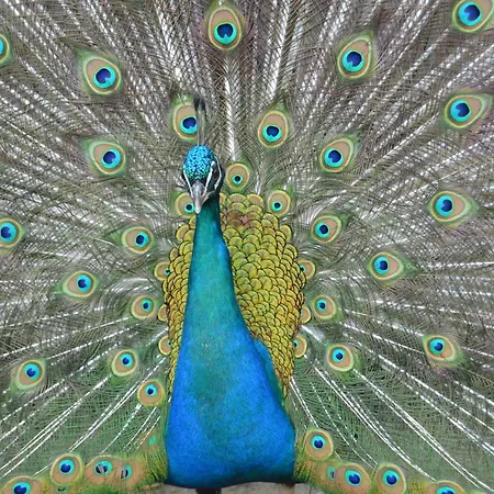 Gospodarstwo Agroturystyczne Anton * Lubień