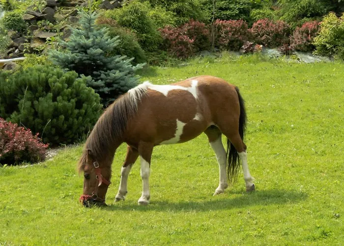 Gospodarstwo Agroturystyczne Anton בית חווה Lubień