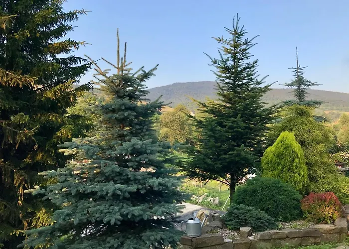 Gospodarstwo Agroturystyczne Anton Lubień