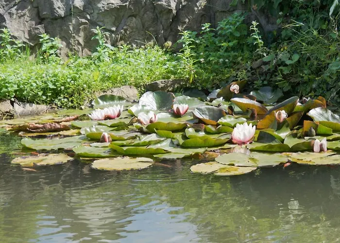 בית חווה Gospodarstwo Agroturystyczne Anton *