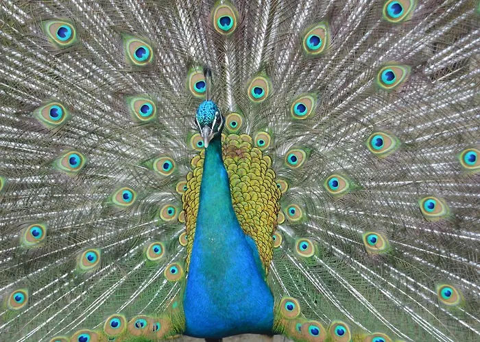 Gospodarstwo Agroturystyczne Anton * Lubień